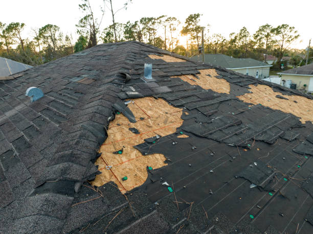 Siding in Fruitland Park, FL